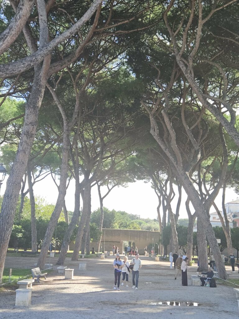 Tree-lined walkway in the Orange Garden on Aventine Hill in Rome.
